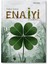 Enaiyi – Tuğra Çakın 1