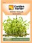 Mikro Yeşillik Için Microgreen Organik Maş Yeşil Fasulye Tohumu 30 gr 120 Tohum 1