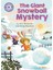 Reading Champion The Giant Snowball Mystery 1