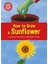Reading Champion How To Grow A Sunflower 1