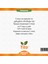 Premium Zerdeçal Aroması 1 lt 2