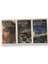 Bir Kadının Yaşamından Yirmi Dört Saat - Satranç - Olağanüstü Bir Gece 3 Kitap - Stefan Zweig 1