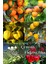 6 Çeşit Karışık Meyve Fidan - Mandalina - Kayısı - Ayva - limon - Badem ve Vişne 1