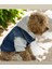 Köpek Jean Kot Ceket Gri Kapşonlu Sweat Sweatshirt 1