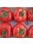 Domates Tane Salkım ( Çoklu Tohum ) 2274 - 3 Gram 1