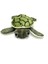 Sevimli Peluş Kaplumbağa Caretta Caretta 25 cm - Uyku ve Oyun Arkadaşı Peluş Oyuncak 2