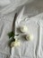 Blok Model Kokulu Soya Wax Mum 2'li Set 3
