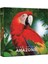 Life Of Amazonia Retail Kutu Oyunu (Ingilizce) 1