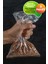 Naylon Şeker Bakliyat Buzdolabı Bakkaliye Torbası Gıdaya Uygun 17 x 25 cm 0,5 kg Kapasite 3 Paket 4