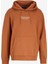 Kapüşon Yaka Kahve Erkek Sweatshırt 12216335_JPRBLUARCHIE Sweat Hood No 1