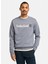 Gri Erkek Bisiklet Yaka Normal Bel Normal Kalıp Sweatshirt TB0A5UJY0731_KENNEBEC Rıver Linear 1