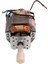AR1105 - AR1106 Ottimo Blender Için Motor 3