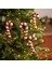 New Year Yılbaşı 4'lü Set Candy Stick Ağaç Süsü Kırmızı 14 cm 1