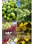 4 Çeşit Karışık Meyve Fidanı Zeytin , Badem , Antep Fıstığı ve Ayva 1