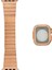 Apple Watch 7 45MM Uyumlu KRD-126 Sert Kasa Koruyuculu Metal Kordon 1