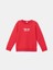 Lcw Kids Bisiklet Yaka Erkek Çocuk Sweatshirt 2'li 3