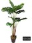Yapay Ağaç Monstera 11 Yapraklı, 3 Gövdeli, 160 cm, Yeşil, Çiçek Türü: Ağaç 3