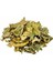 Dut Yaprağı (Beyaz Dut) Morus Alba1 kg 2