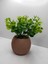 Tekno Trust Mini Saksıda Yapay Çiçek Bitki Şimşir Gerçek Taş Yosunlu Toplam 18 Cm Dekoratif Masa Raf Çiçeği 01 3