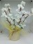 Bahar Dalı Yapay Çiçek, Beyaz, Işıklı, Tül Süsleme, Yükseklik 11-30 cm 5
