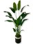 Tekno Trust Starliçe 24 Yaprak 190 Cm Yapay Ağaç 30x30 Gümüş Kemerli Saksı 1
