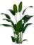 Tekno Trust Starliçe 24 Yaprak 190 Cm Yapay Ağaç 30x30 Gümüş Kemerli Saksı 5