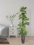 Tekno Trust Yapay Ağaç Yelpaze Palmiye 5katlı Fanpalm 40 Yaprak 180*65cm 2