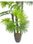 Tekno Trust Yapay Ağaç Yelpaze Palmiye 5katlı Fanpalm 40 Yaprak 180*65cm 4
