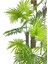 Tekno Trust Yapay Ağaç Yelpaze Palmiye 5katlı Fanpalm 40 Yaprak 180*65cm 5
