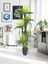 Tekno Trust Yapay Ağaç Palmiye 45yaprak 5katlı 180cm Salon Çiçeği Yapay Çiçek 2