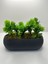 Tekno Trust Uzun Gri Saksıda Yapay Çiçek Yeşil Iğneli Çam Demeti Dekoratif Mutfak Banyo Masa Çiçeği 21x9x7 Cm 1