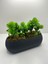Tekno Trust Uzun Gri Saksıda Yapay Çiçek Yeşil Iğneli Çam Demeti Dekoratif Mutfak Banyo Masa Çiçeği 21x9x7 Cm 3