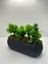 Tekno Trust Uzun Gri Saksıda Yapay Çiçek Yeşil Iğneli Çam Demeti Dekoratif Mutfak Banyo Masa Çiçeği 21x9x7 Cm 4