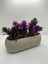 Tekno Trust Uzun Saksıda Yapay Çiçek Fuşya Iğneli Çam Demeti Dekoratif Mutfak Banyo Masa Çiçeği 21x9x7 Cm 2
