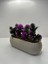 Tekno Trust Uzun Saksıda Yapay Çiçek Fuşya Iğneli Çam Demeti Dekoratif Mutfak Banyo Masa Çiçeği 21x9x7 Cm 3