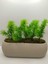 Tekno Trust Uzun Saksıda Yapay Çiçek Taş Yosunlu Çim Yeşili Bitki , Banyo Mutfak Masa Çiçeği 21x9x7 Cm 4
