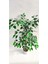 Tekno Trust Rüzgar Yapay Çiçekçilik 90 Cm Ficus Ağacı 3