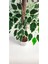 Tekno Trust Rüzgar Yapay Çiçekçilik 90 Cm Ficus Ağacı 5