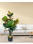 Tekno Trust Yapay Ağaç Kauçuk Ağacı Metal Gold Kemerli Saksıda Ficus Elastica Salon Çiçeği 150*90 61 Yaprak 3