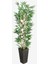 Yapay Bambu Ağacı 155 Cm, 4 Gövdeli, Yeşil, Ahşap Saksı, Şık Dekoratif Bitki 1