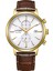 CA7062-15A Citizen Erkek Kol Saati 1