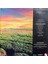Zucchero Sugar Fornaciari ‎– Oro Incenso & Birra 1989 Baskı Lp (Plak) 2