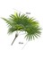 Mor Yapay Çiçek Yelpaze Palm Demet 50x40cm Salon Dekorasyonu 5