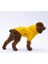 Sarı Kanguru Cepli Kedi-Köpek Hoodie- Sweatshirt Kedi Köpek Kıyafeti 3