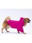 Pembe - Fuşya Kanguru Cepli Kedi-Köpek Hoodie- Sweatshirt Kedi Köpek Kıyafeti 3