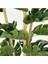 Tekno Trust Yapay Çiçek Monstera Bambu Saplı Deve Tabanı Gümüş Saksılı Salon Çiçeği 18 Yaprak 80 cm 3
