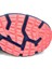 Gerrard Hi Wmn 4Pr Kadın K.mavi-K.pembe Waterproof Bot 5