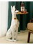 Tepsili Sehpa Köpek Heykel Biblo (75 cm x 42 Cm) 2