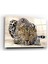 Leopar Cam Tablo | Hediyelik, Dekoratif, Ofis, Mutfak - 35 x 45 1