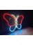 Neon LED Duvar Dekoratif Aydınlatma -Kelebek- 3